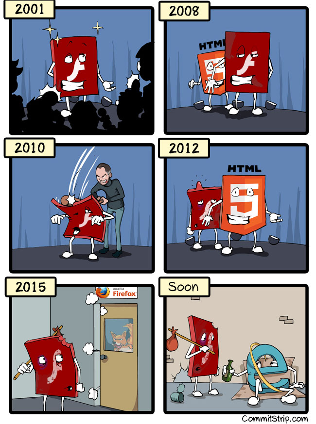 Flash history