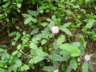 Buồn một chút...