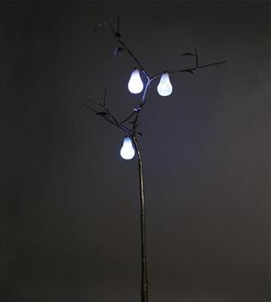 Sau một đêm ngủ sớm